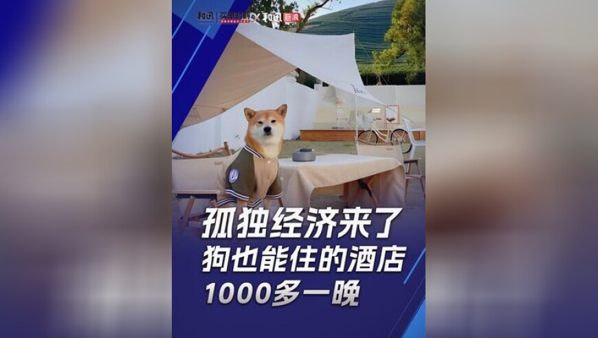 香港老澳门开奖历史记录,俄方称俄中关系达前所未有高度,详细释义解释落实_终极版V15.13